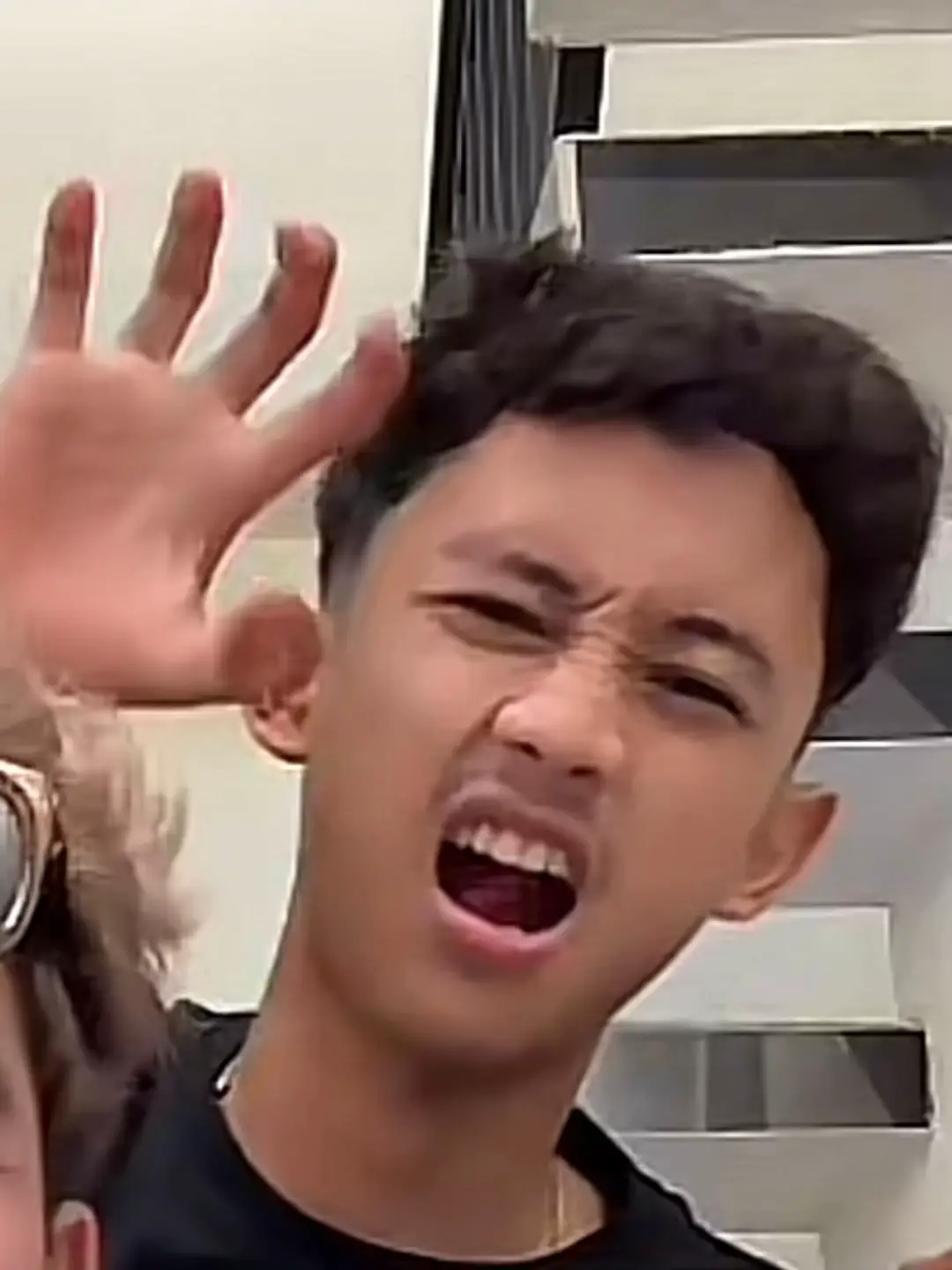 #dinogwsm #gwsmlovers👹 