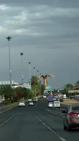 ليت قلبي دعاني عن الغلا 💜تبوك الورد #اكسبلورexplore 
