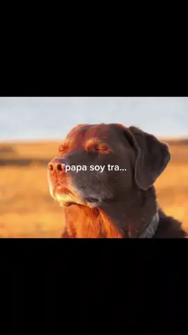 porfin🫡🥹#fyp #mentality #humor #ronaldo #paratí 