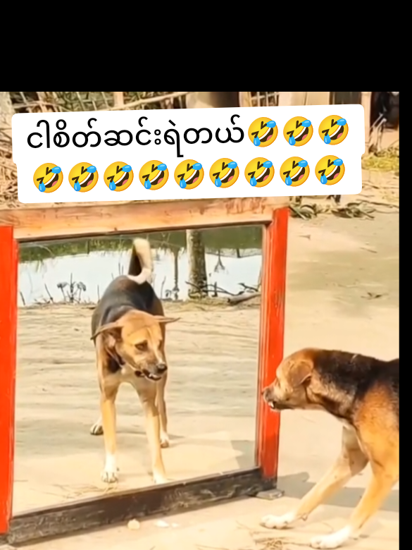 #🤣🤣🤣 #ရောက်ချင်တဲ့နေရာရောက်👌 #ကြိုက်ရင်အသဲပေးခဲ့ #tiktok 