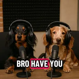 Episode 1 - Why moms should poop outside           #dachshund #podcast #mother #dogs #dogsoftiktok 