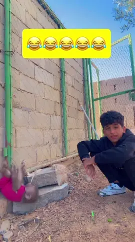 #الشعب_الصيني_ماله_حل😂😂 #اكسبلور_تيك_توك #كوميدي #شعر #ليك 