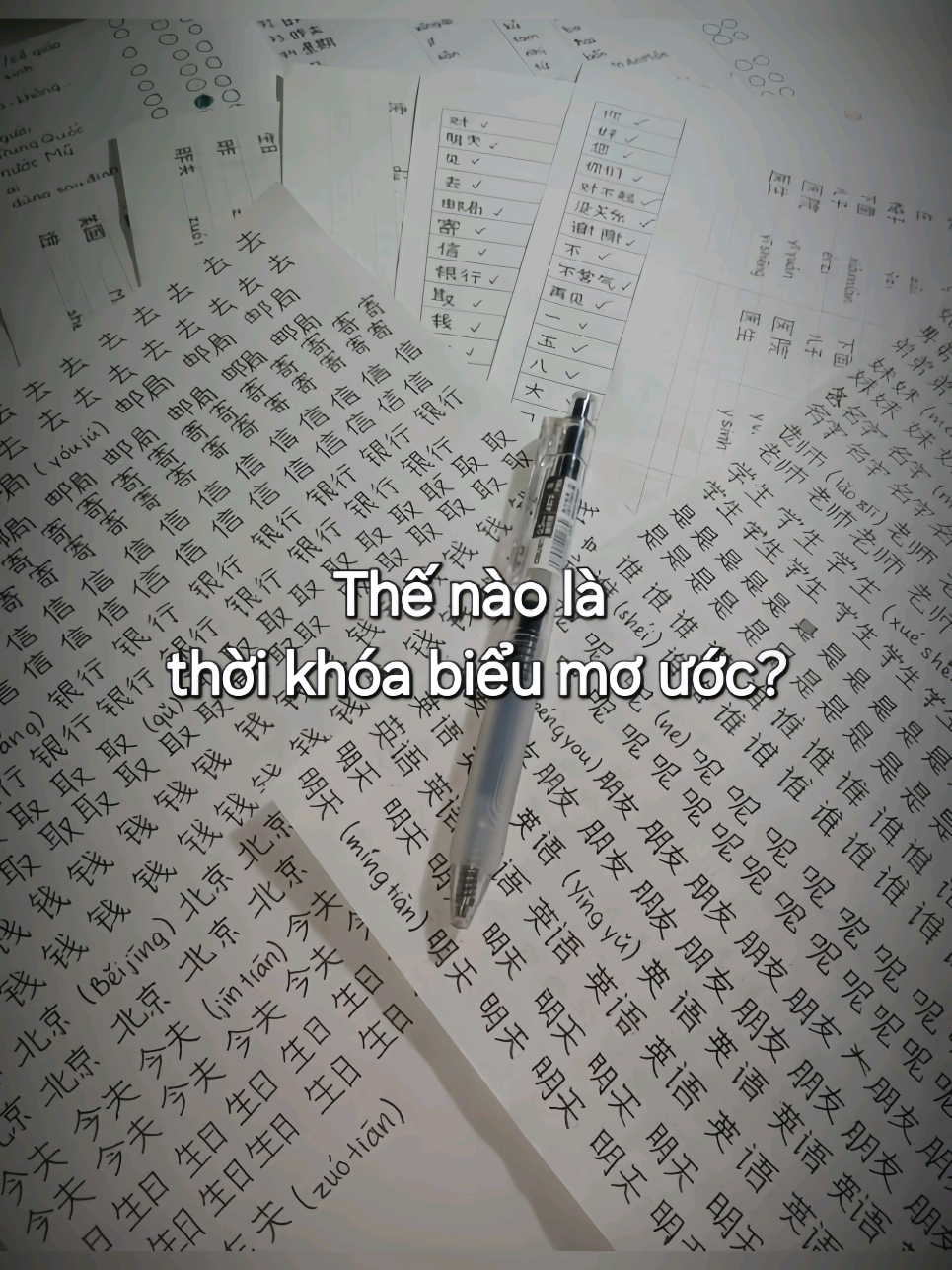 con dân HSK, tiếng Trung đâu r #tiengtrung #hsk #hoctap #xh #fyp 