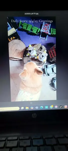 Today's Daily Story: 9/4/25: Greetings: In today's story the girls go around visiting and giving out happy day Greetings. 