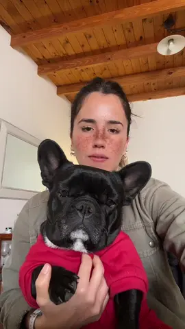 Con la peor de las ondas 😒                   #paratiiiiiiiiiiiiiiiiiiiiiiiiiiiiiii #pet #tiktokdogs #frenchbulldog  #frenchiesoftiktok   