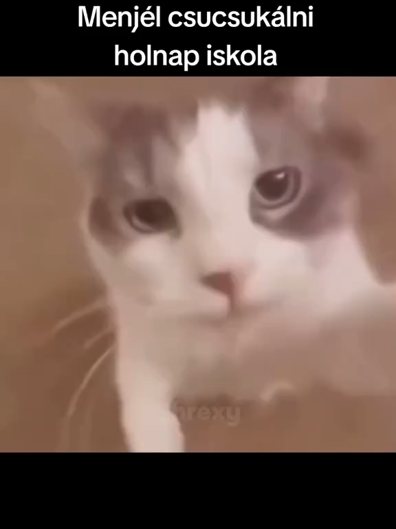 Holnap iskola :c ##viral #fyp #meme #magyar #tanulás #iskola