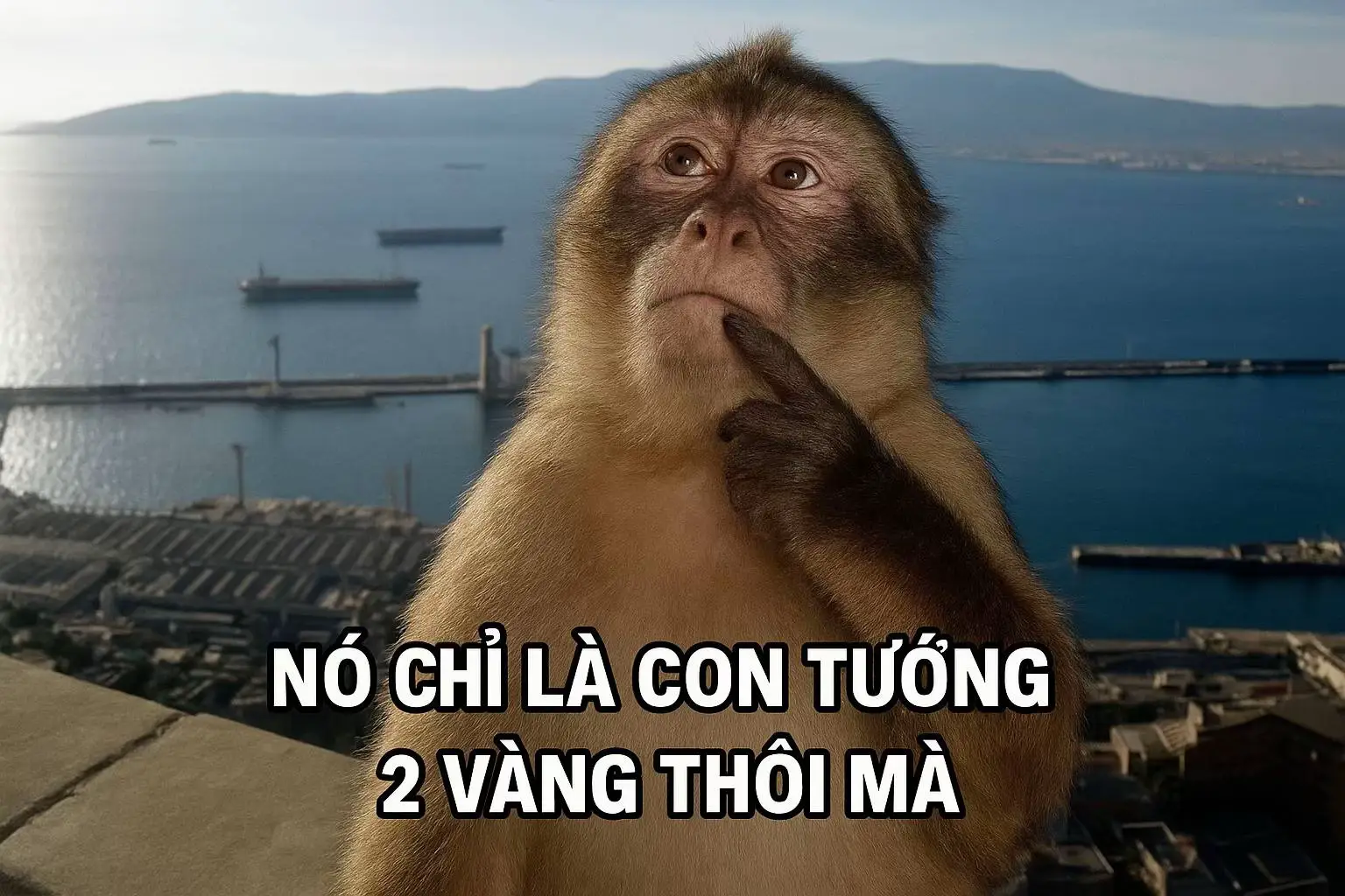 nó chỉ là tướng 2 vàng thôi mà :)) #xuhuong #tft #viral 