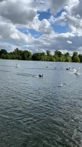 #metime #london #thankyou 