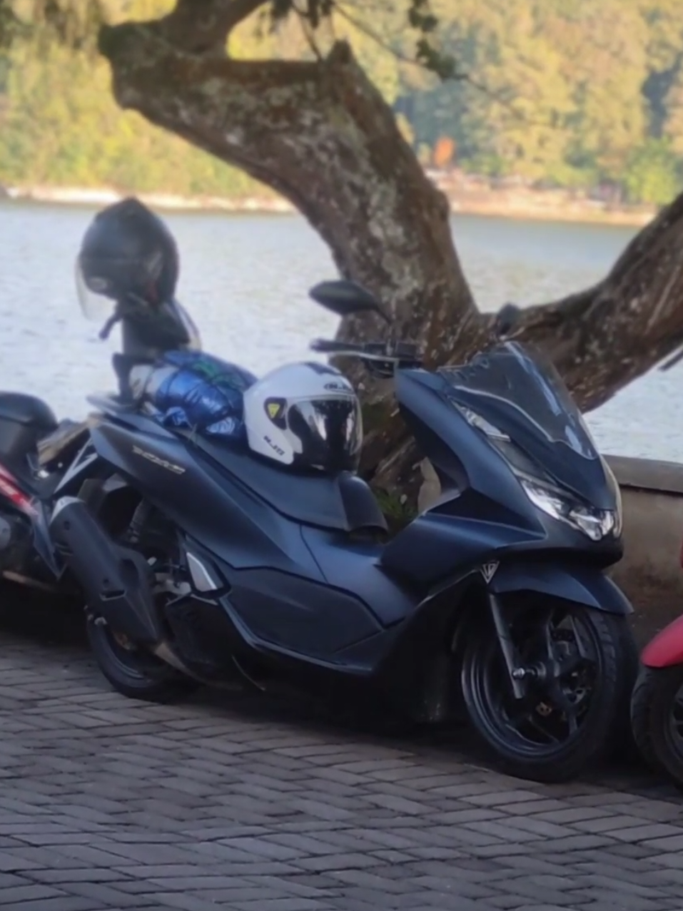 next ke karimun jawa ga nih🤩😋 #fyp #pcx160 #telagasarangan #karanganyar24jam 