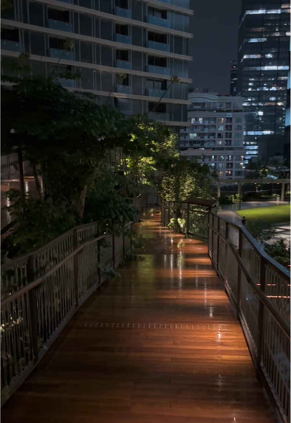 💚Dusit Central Park. #dusitcentralpark #สวนดุสิตอรุณ  #dusitarun #bangkok #PlacesToVisit 