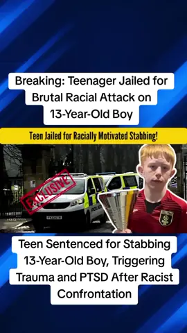 Teenager Jailed for Brutal Racial Attack on 13-Year-Old Boy. |HF04 #TeenJailed #UKNews #BreakingNews #UK #trendinguk 