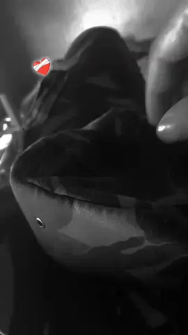 #ابوني_ياك_باطل_ولا_حنا_مانستاهلوش #ابوني_ربي_يحفظلك_الوالدين🥺❤🙏 #الجيش_الوطني_الشعبي🇩🇿🇩🇿💪♥️ 