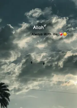 Allah Vorosha❤️‍🩹💖#foryoupage #Foryou #fypシ゚viral @TikTok Bangladesh @For You @TikTok 