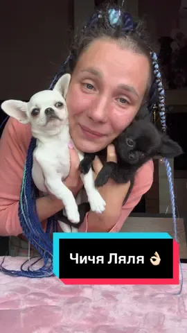 У меня дома теперь Чичя Ляля 👌🏻