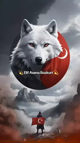 Hodri Meydan ▪︎ ▪︎ #asena #bozkurt #alikınık #kurt #keşfetedüşürbeni @𝐀𝐥𝐢 𝐊𝐈𝐍𝐈𝐊 🇹🇷 @ƁƠȤ.ƘƲƦƬƬ.68 @TikTok LIVE 🇹🇷 @TikTok LIVE @TikTok Türkiye @TikTok 