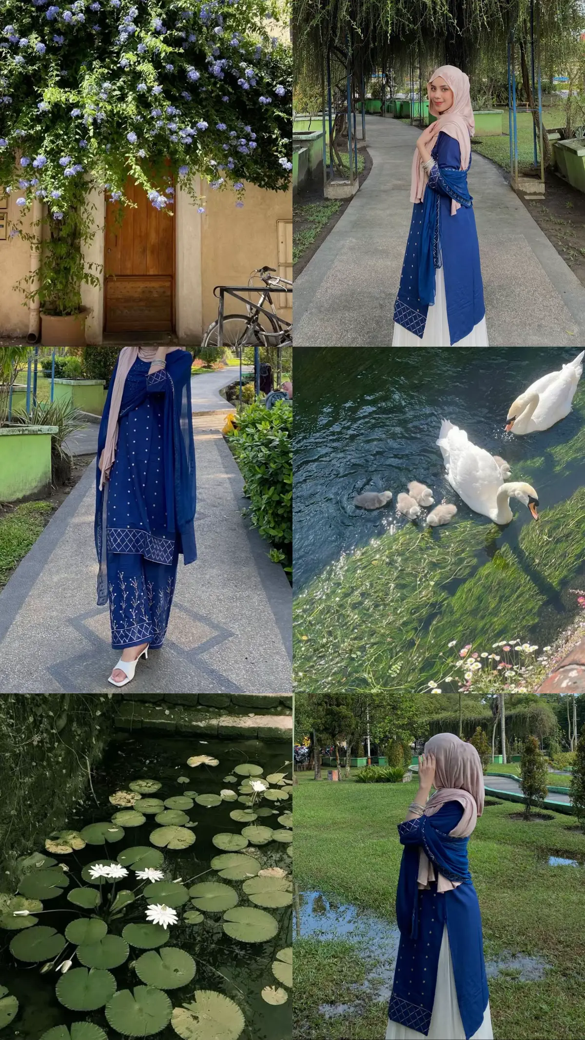 🪻🪷 #bollywood #bollywoodsong #desigirl #trending #india 