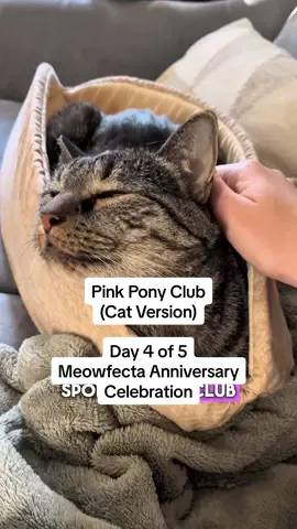 Day 4 of 5 celebrating our most viral cat songs! Make sure you’re following @meowfecta so you don’t miss a single day of this celebration or future cat songs!! We’re so excited to share our top 5 songs from our first year as a page, and we’re so incredibly grateful for the community you’ve all helped create.  This parody of Pink Pony Club by @chappell roan originally dropped in November 2024 and reached over 2.9 Million views!! 💕🤠 I’ve actually written additional verses for this one… maybe I should do a re record and do a full song? 🧐🐱 lmk what you think!! How many of you found us from this song? 🙋‍♀️ What song do you think will reappear for our FINALE tomorrow? 🙈 And friendly reminder, our giveaway for a custom parody from me plus a huge haul of food from @Weruva is open thru 9/5! Enter at the pinned post on my IG page! #catmom #catdad #catlife #catmomlife #parody  