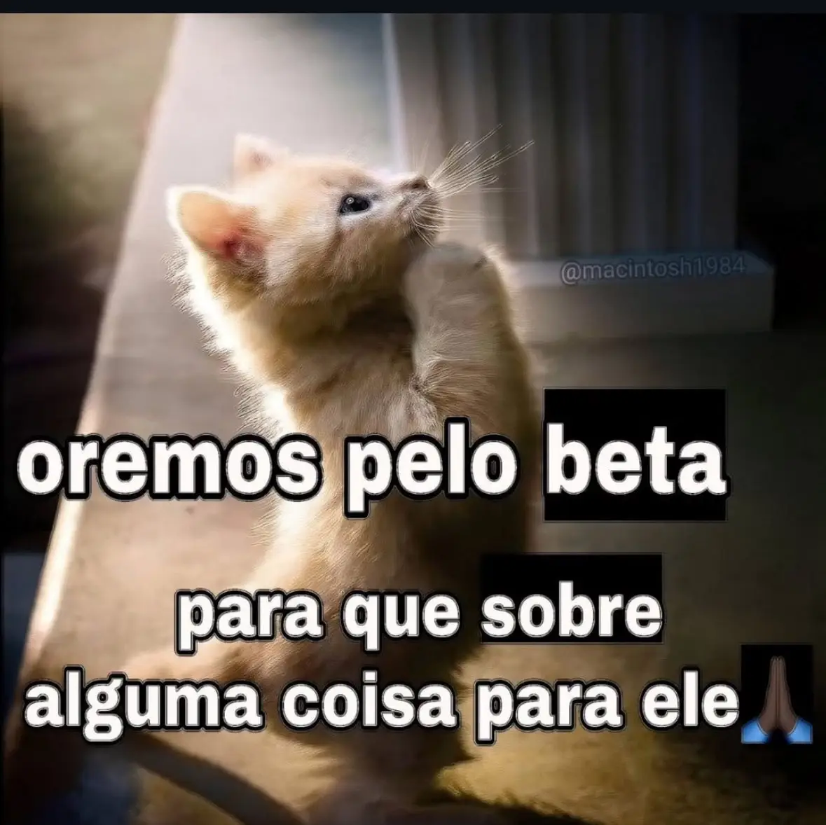 #trend #fypシ #foryou #tiktok #meme 