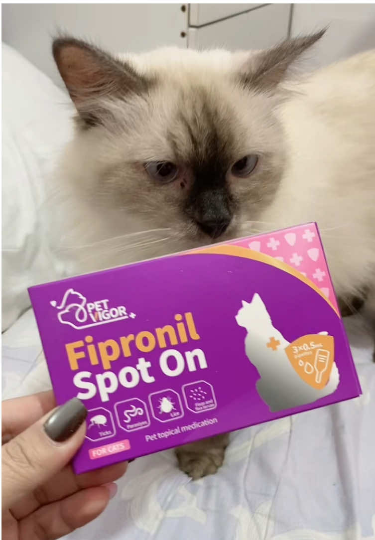 Petvigor to the rescue! Derserve to ng mga pets nyo! Order now! #petvigorantitickandfleas #petvigorpetantifungal #petvigorfipronilspotonsolution #petlover #catthickandfleassolution 