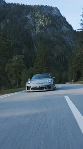 🦅 #nobasicshit #pipifein 