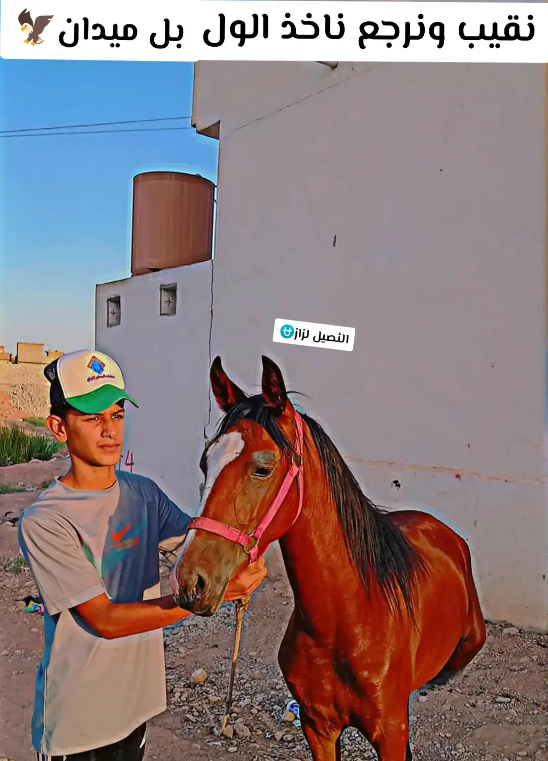 لزاز#خيل_وخياله🐎 @☆محـ꙰᭄ــمد☆ ♥️ #زمار_دهوك_كوردستان_موصل_بغداد_العراق #الشعب_الصيني_ماله_حل😂😂 