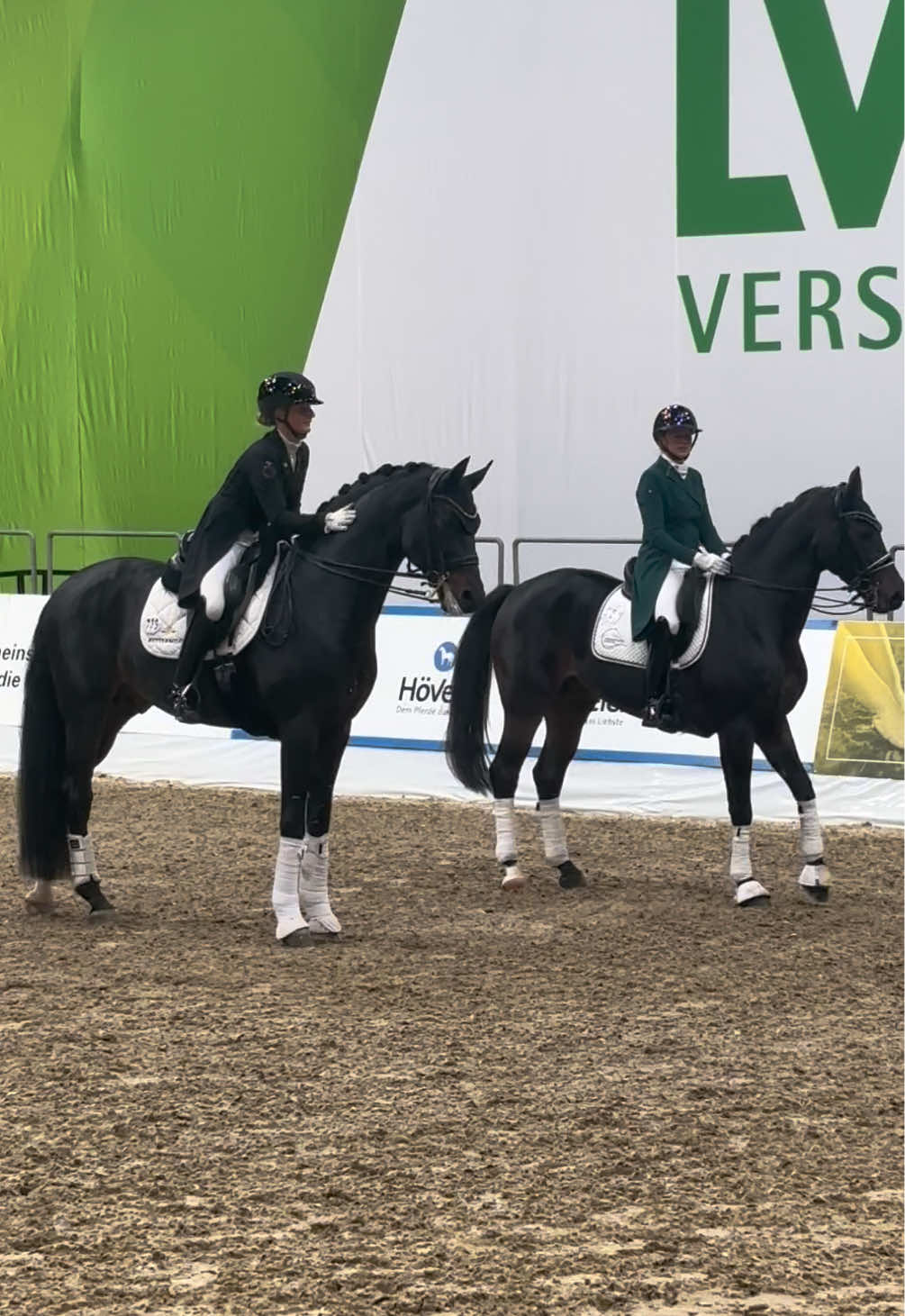 Which one do you choose? 😏#equestrian #horses #foryoupage #videoviral #dressage 