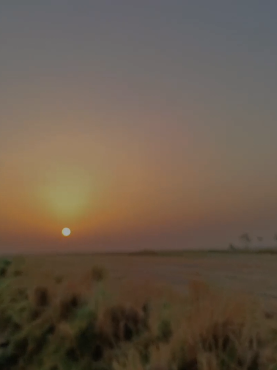 جزء1 تصويري        #سمير_صبيح #شعراء_وذواقين_الشعر_الشعبي 