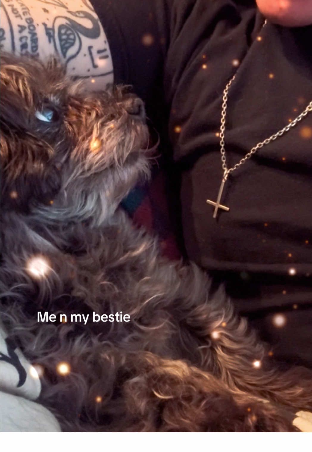 I love this pup so much I would let an alarming amount of the human population expire in exchange for her. I’m talking, like, half. There’s nothing wrong with her, I’m just sayin. This is the most amazing little pup and I wouldn’t trade her for the world.  #cutedog #bestie #puppytiktok 