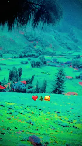 #foryoupage#fypシ#viral#naturalvibes#viraltiktokvideo#growthaccount#
