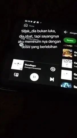 dan kini aku menikmati efek samping yg berhalusinasi mengingat kenangan yg bgtu sulit di lupakan :) ...  #a7x #avangedsevenfold #gunslingeravengedsevenfold #cat 