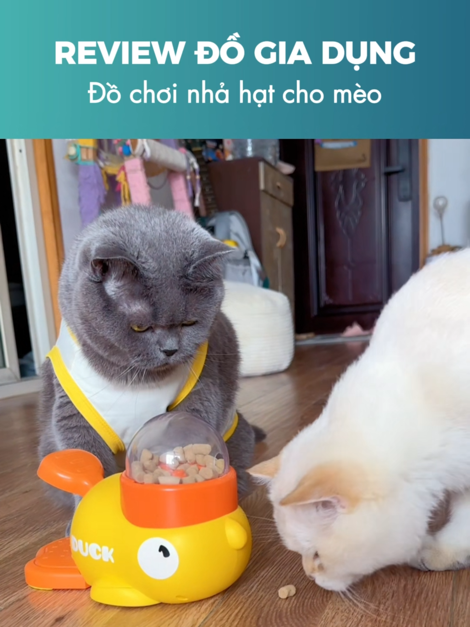 Đồ chơi nhả hạt cho mèo #xuhuong #review #dogiadung #unbox