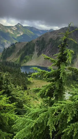 soothing green 💚🌿