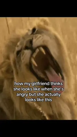 #cat #catsoftiktok #couplecomedy #girlfriend #ilovemygf #fyp #viral 