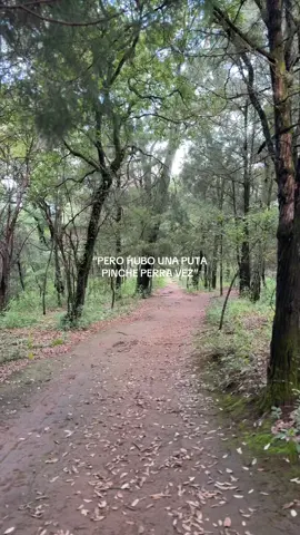 No estoy enojada, ok? 