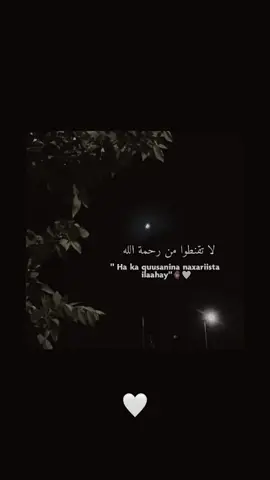 #creatorsearchinsights 