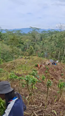 lah bagian gle haha#tanjungsaktipumu #petanikopi #salamjmeekite #petanimuda 