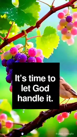 #creatorsearchinsights 