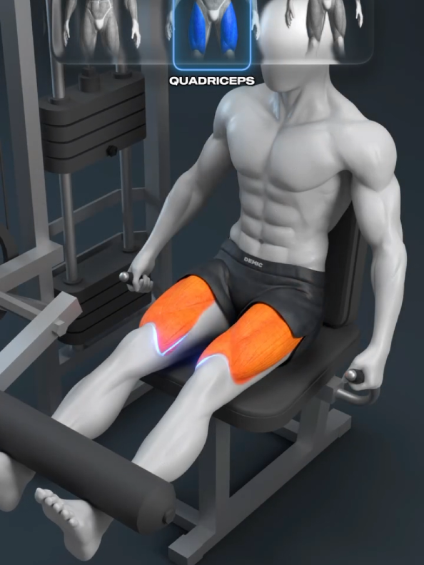 🏋️‍♂️ One Machine, Three Results: Which Muscle Are You Hitting? #demic #quads #vastusmedilis 