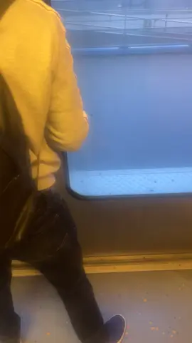 La vie d’un parisien 