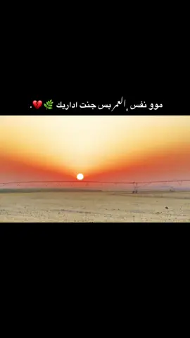 ما حسستك بفرق المواليد 😢🤍. #خامس_علمي #وحدنا_نطير_ونعلي🕊️🖇️✨ 