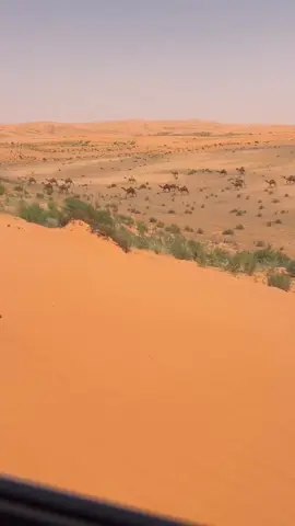 #مشالله_تبارك_الله#العوب #