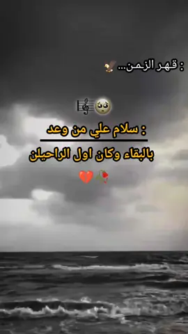 #تهلاووووو__خاوتي__ربي__يحفظكوم♥️👑🥰🥰🍯🌹 