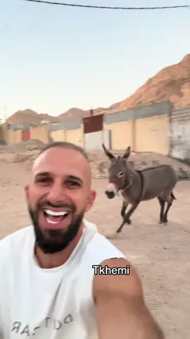 #اكسبلور #خيل_وخياله🐎 #مشاهدات #ammanjordan🇯🇴 