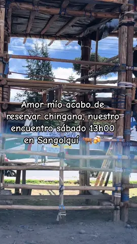 Toros Sangolquí 2025 #parati #parami #ella #viraltiktok #mujer #torosangolquí2025 #sangolquí #viral_video_tiktok 