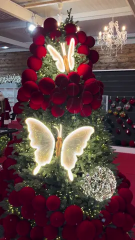 🔴 Piccolo Spoiler 🔴 Già disponibili in pre-order sul nostro sito⬇️ www.picarobomboniere.com Stiamo organizzando il Natale più bello che ci possa essere ‼️ Farfalle in movimento per il tuo albero di Natale 😍 #christmas #natale2025 #christmasiscoming #perte #andiamoneiperte 