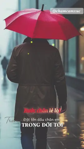 Từng ngày qua phố… #𝑻𝒓𝒂𝒎𝒂𝒏 #𝑻𝒓𝒂𝒎𝒂𝒏𝒕𝒊𝒏𝒉 #𝑵𝒉𝒂𝒄𝒉𝒂𝒚 #𝑲𝒉𝒐𝒂𝒏𝒈𝒍𝒂𝒏𝒈 #𝒄𝒉𝒂𝒎𝒄𝒂𝒎𝒙𝒖𝒄 #𝒄𝒉𝒖𝒂𝒍𝒂𝒏𝒉 #𝑪𝒂𝒏𝒉𝒅𝒆𝒑 #Nhachaymoingay #Music #Chamcamxuc #music 