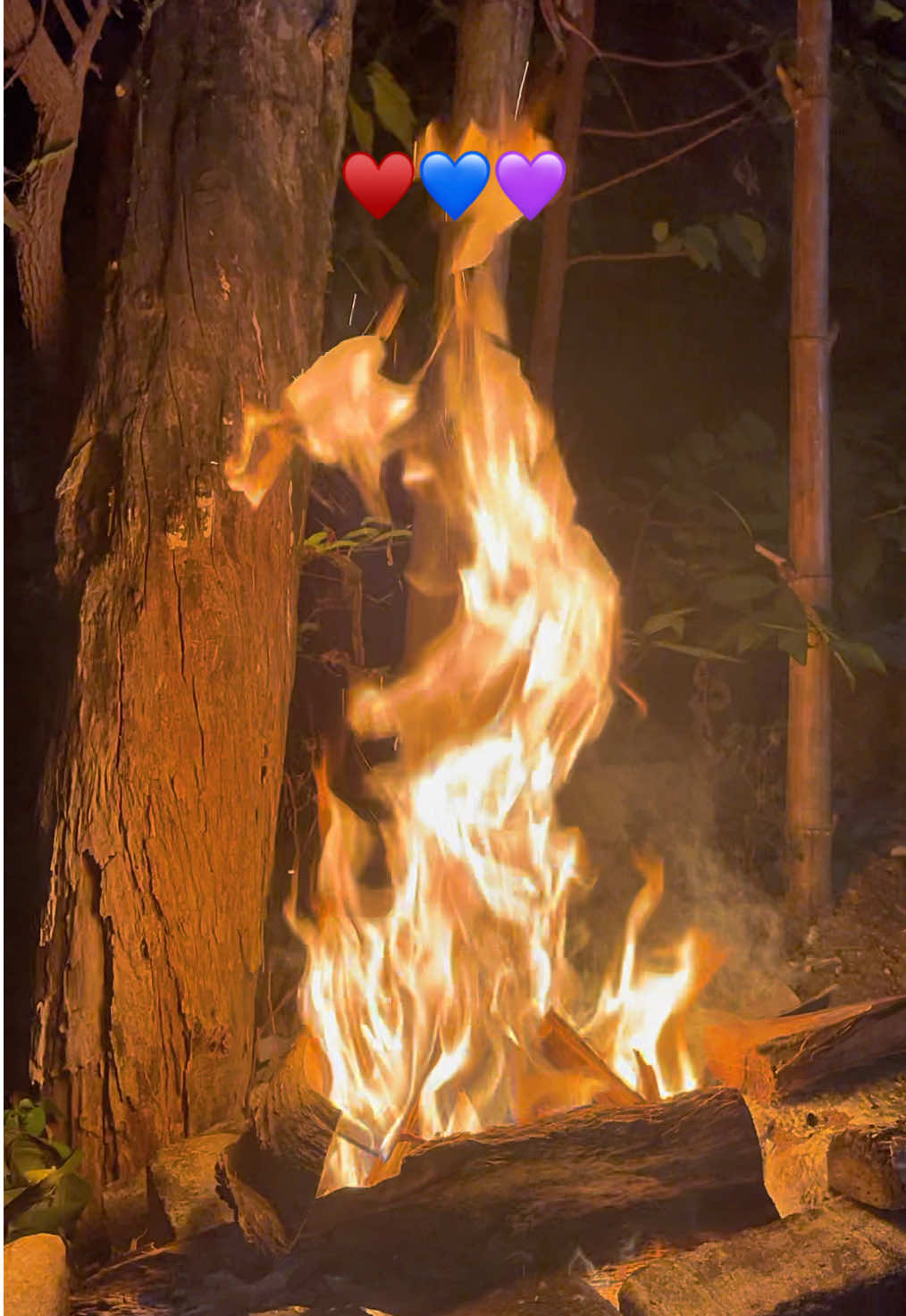 bila waktunya #pageforyou #reggae #fypシ 