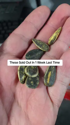 Smackin Sunflower seeds cheeseburger flavor sold out last time in 1 week so grab some now #smackinsunflowerseeds #sunflowerseeds #sunflowerseed 