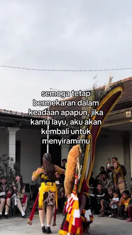 #boloreog #storyreog #fyp 