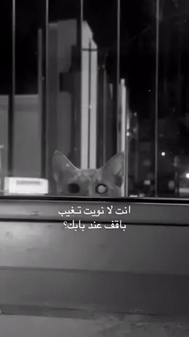 #explore #fypシ #foryou  😾